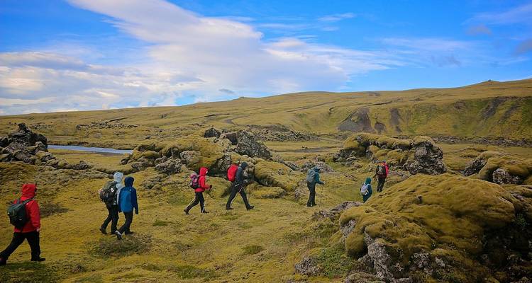 Los excursionistas con chaquetas de colores caminan a través de un campo de lava cubierto de musgo bajo un cielo azul y blanco.