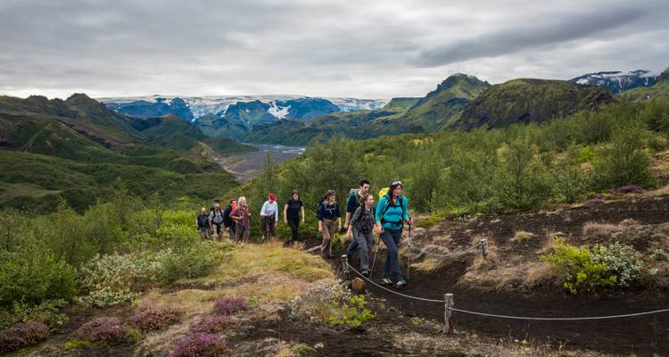 Groupe de randonneurs marchant sur un sentier entouré de végétation et de montagnes.