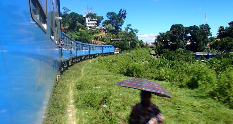 Trekking through Cloud Forests and Tea Plantations - Rove Travel