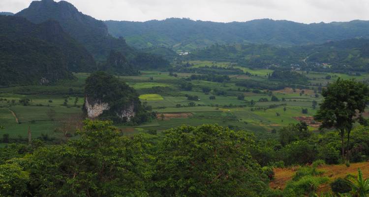 Ruins, Rivers, and Jungle: Family Adventure - Rove Travel