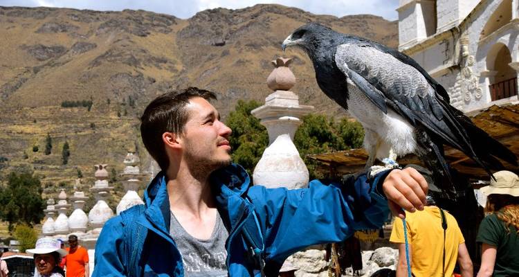 Arequipa & Cuzco Adventure 7D/6N - Bamba Experience