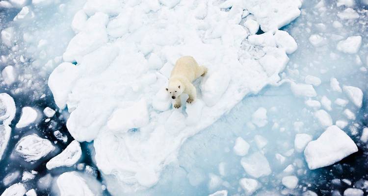 Ultimate Arctic 12 Days - Scenic Luxury Cruises & Tours