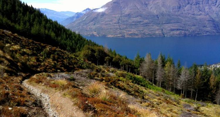 South Island Group Adventure 9D/8N (October - March) - Bamba Experience