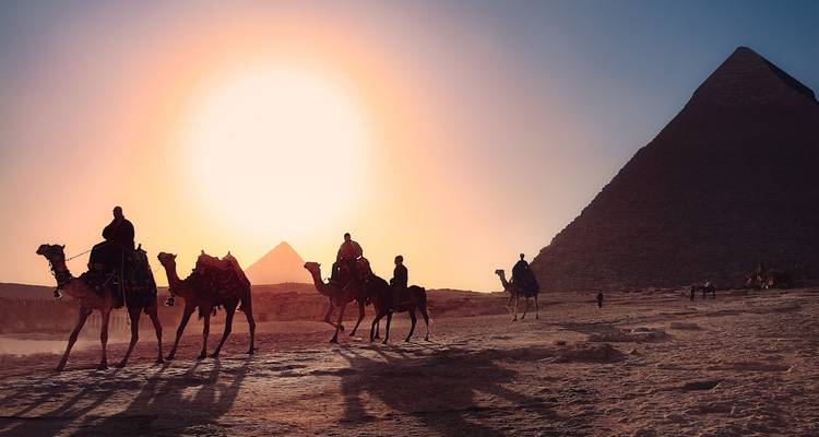 Silueta de camellos y pirámides al atardecer.