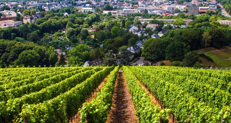 Legends of the Moselle Rhine and Main 2018 8 Days (from Frankfurt-am-Main to Nuremberg) - Emerald Waterways