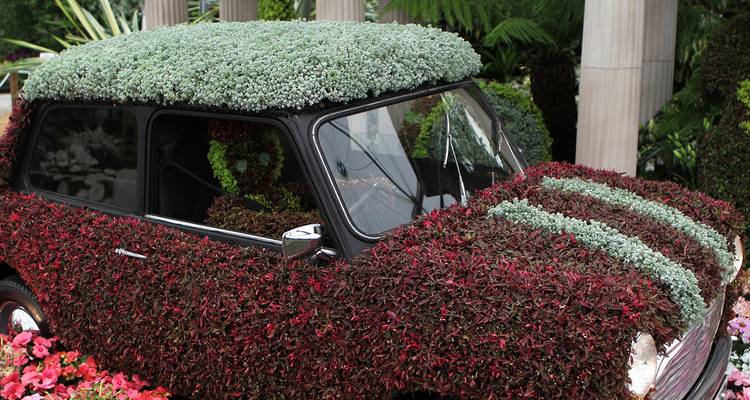 Chelsea Flower Show - Prague to London and Splendours of Europe River Cruise (Prague to London) - Evergreen Tours