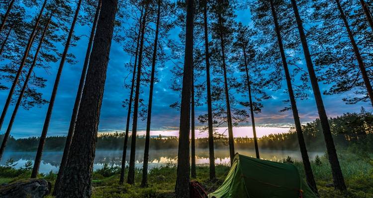 Tall trees with a tent beside a misty lake under a vibrant evening sky.