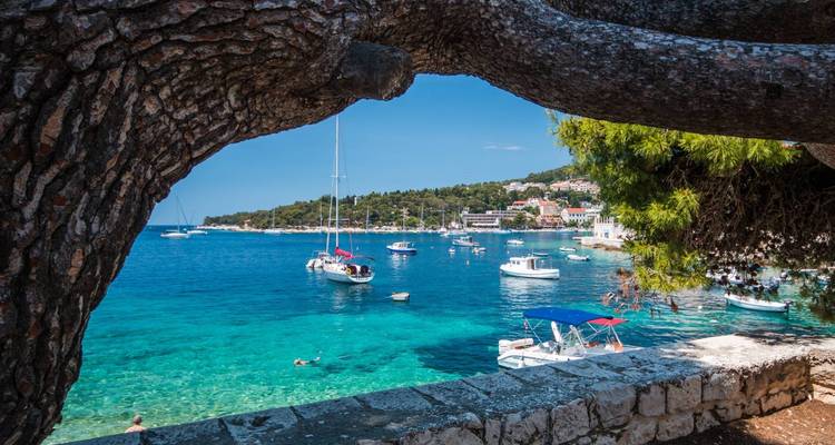 Vue sur le bord de mer encadrée par des branches d'arbres avec des bateaux et une eau bleu clair.