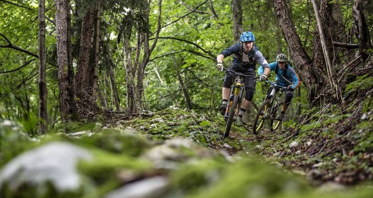 Vététistes roulant sur un sentier forestier