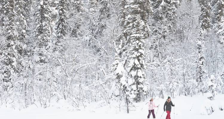 Dos personas esquiando a través de un bosque nevado.