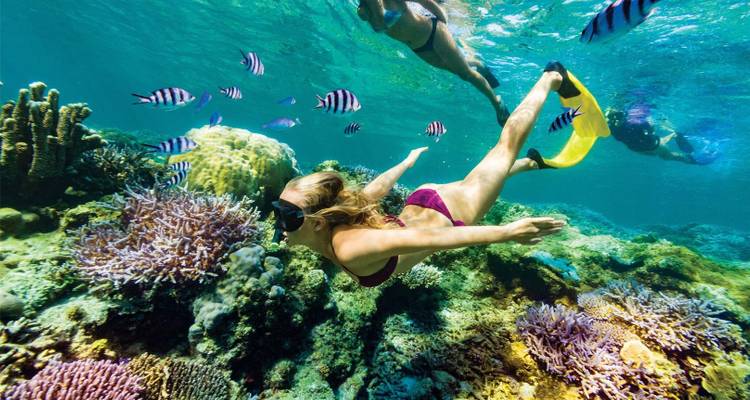 Un plongeur en apnée glisse au-dessus de jardins de corail colorés aux côtés de poissons rayés tandis qu'un autre nageur explore derrière elle.