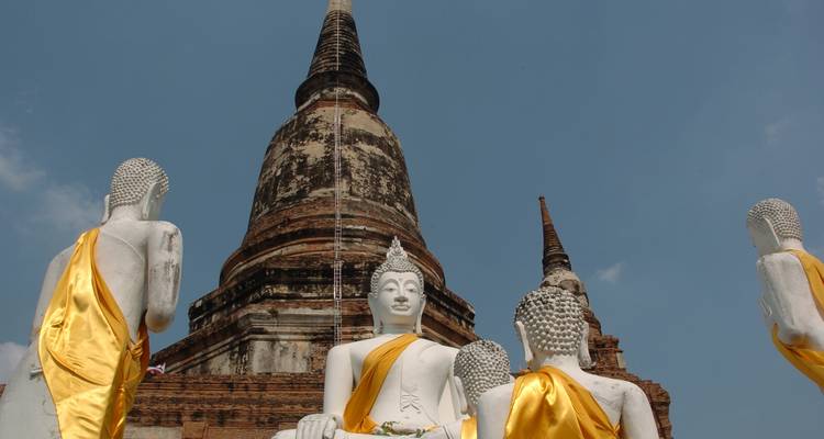 Varias estatuas blancas de Buda con fajas doradas.