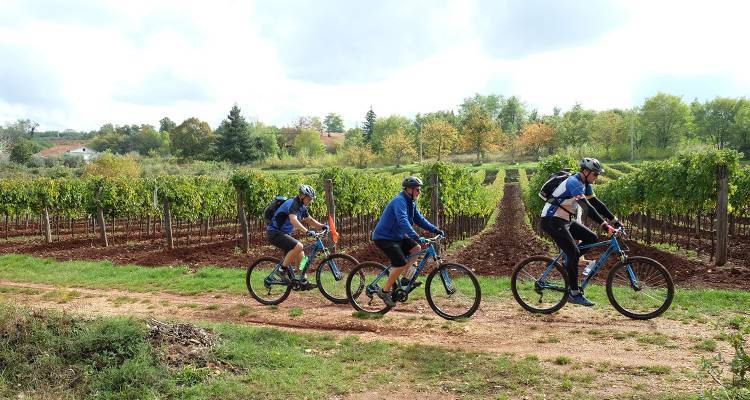 Cycle Croatia - 8 days - On The Go Tours