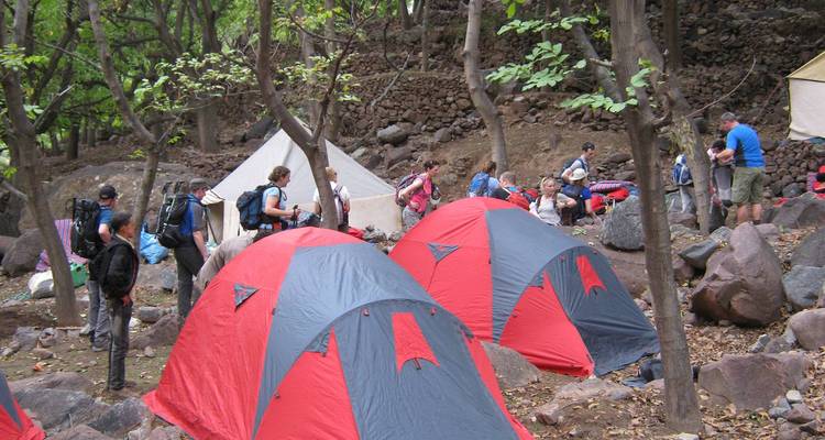 Bewaldeter Campingplatz, gefüllt mit roten und grauen Kuppelzelten und Trekkern, die ihre Ausrüstung zwischen den Bäumen vorbereiten.