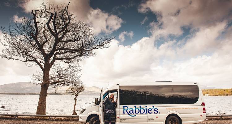 Reisebus geparkt an einem Seeufer mit einem Baum.