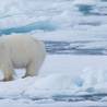 Longyearbyen