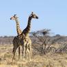 Windhoek