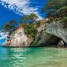 Wellington