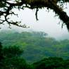 Liberia