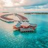 Malé