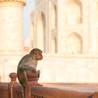 New Delhi