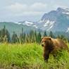 Anchorage