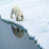Longyearbyen