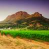 Cape Town