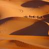 Marrakesh
