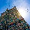 Chennai (Madras)
