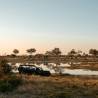 Maun