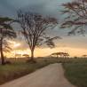 Arusha