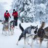 Rovaniemi