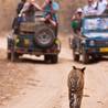 New Delhi