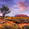 Alice Springs