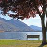 Queenstown