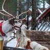 Rovaniemi
