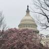 Washington DC