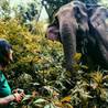 Chiang Mai