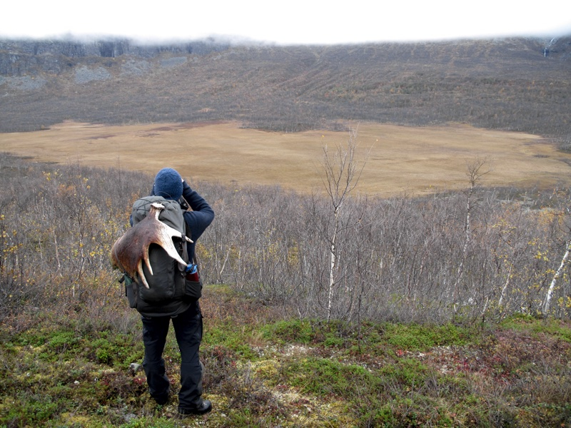 Wildlife expedition in Sarek National Park, Lapland by Wild Sweden ...