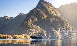 Fiordland Navigator