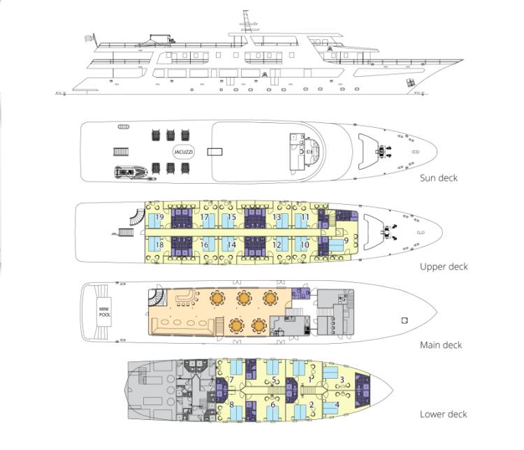 Deck plan  plan