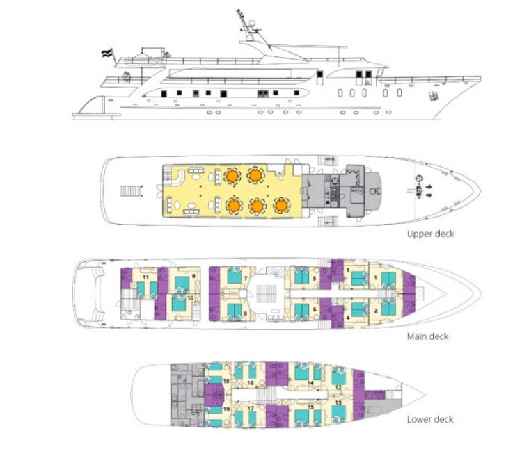 Deck Plan plan