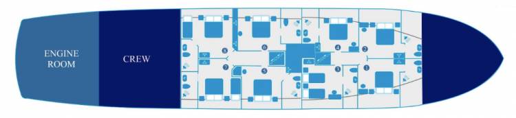 Plan de Standard Deck