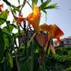 Tropical Costa Rica 5 Days, Short Break reviewer 6