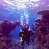 5 Day Learn to Dive Course reviewer 9