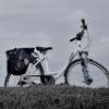 Cycle Prague to Vienna reviewer 1