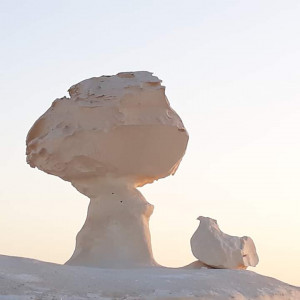 White desert camp safari