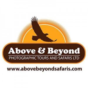 ABOVE & BEYOND PHOTOGRAPHIC TOURS AND SAFARIS LTD