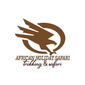 African Holiday Safari